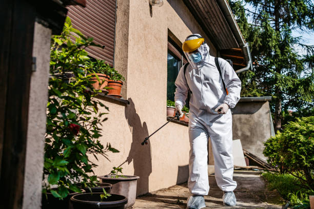 Best Pest Control Near Me in Idylwood, VA